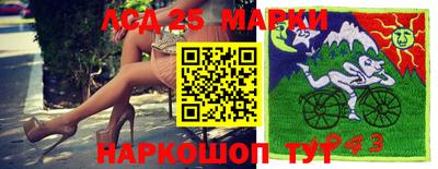 apvp Кингисепп