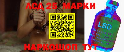 apvp Кингисепп