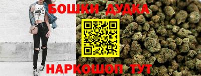 apvp Кингисепп