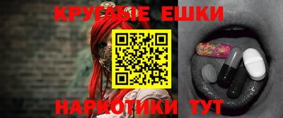 apvp Кингисепп
