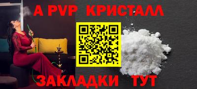 apvp Кингисепп