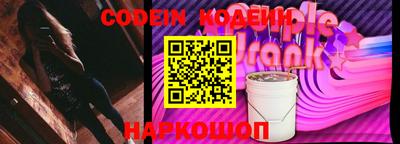 apvp Кингисепп